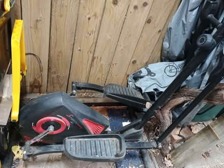 Photo of free Trainer (Teddington TW11) #1