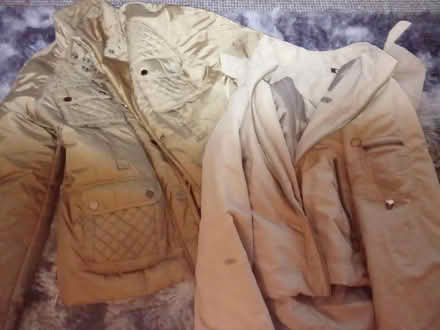 Photo of free Ladies clothes (Willesborough) #2