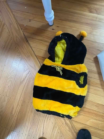 Photo of free Costumes, masks, beads (Community Center) #3