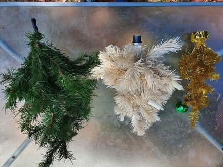 Photo of free Mini Christmas Trees? (Booker HP12) #1