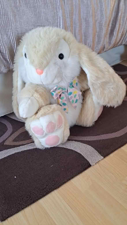Photo of free Large cuddly rabbit (Clive Vale TN35) #1