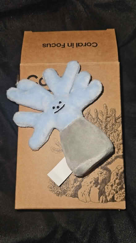 Photo of free Blue fuzzy coral key chain (Millwall E14) #1