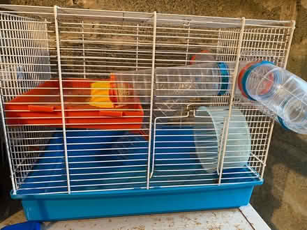 Photo of free Hamster cage (North Road) #1