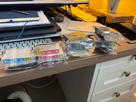 Photo of free Epson T29XL 18 printer cartridges (SN7 Longcot) #2