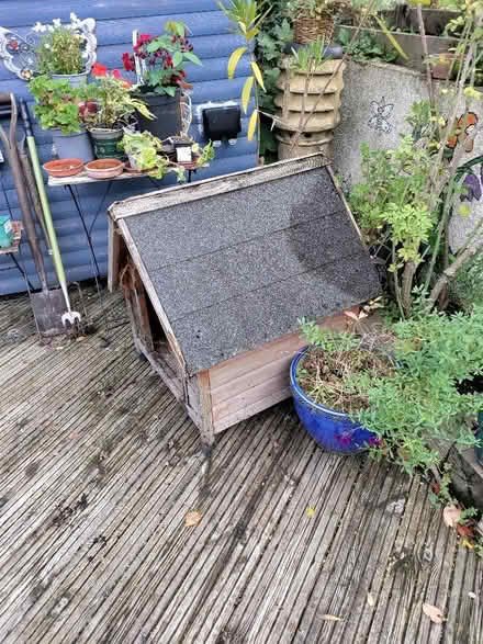 Photo of free Guinea pig/Rabbit/tortoise hutch (Westbury Leigh BA13) #2