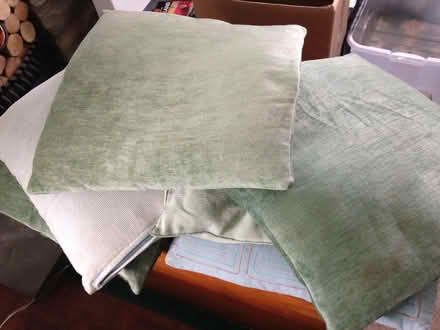 Photo of free Cushions large quantity (Oakridge RG21) #1