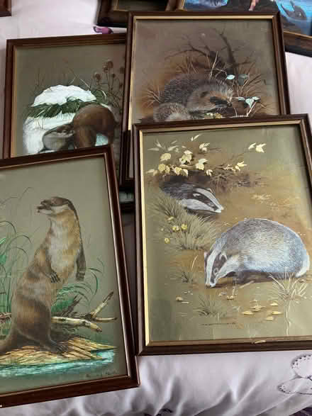 Photo of free Assorted pictures in frames. (Buckhurst Hill IG10) #2