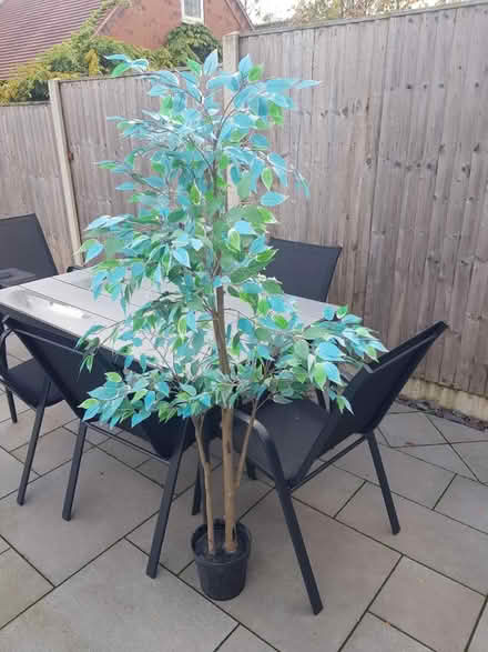 Photo of free Artificial tree (Mansfield Ng18) #1