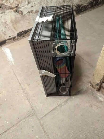 Photo of free Used hamster cage (Spitalfields E1) #2