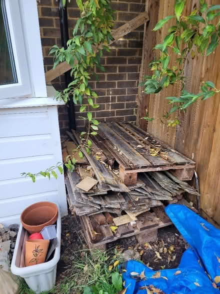 Photo of free Wood (Low Water BA11) #1