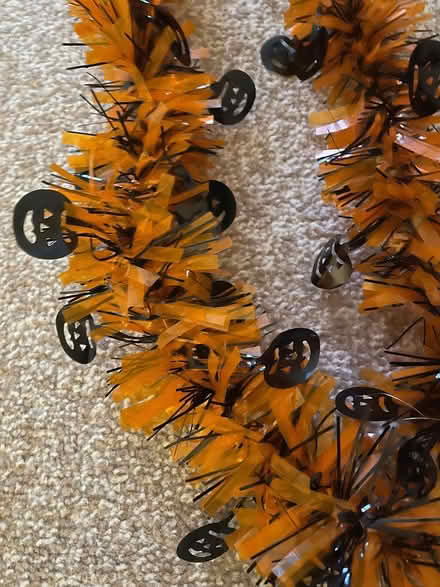 Photo of free 6ft length Halloween tinsel (Appleton) #2