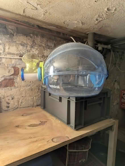 Photo of free Ovo hamster cage (Spitalfields E1) #1