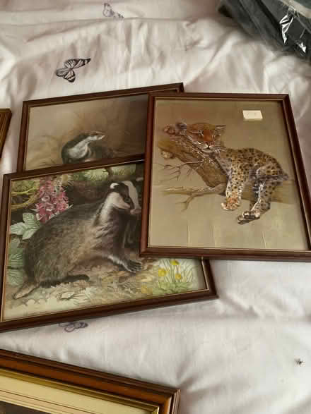 Photo of free Assorted pictures in frames. (Buckhurst Hill IG10) #1