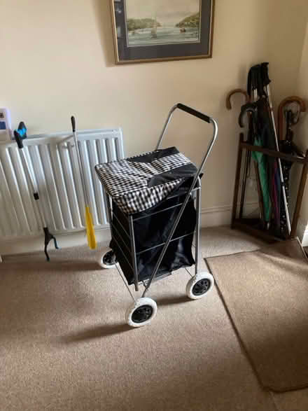 Photo of free Shopping trolley (Bridgetown, Totnes) #1
