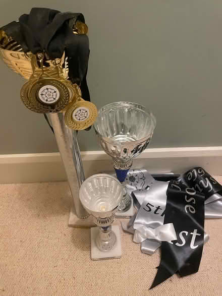 Photo of free Trophies,Medals,Sashes. (Harrogate HG2) #2