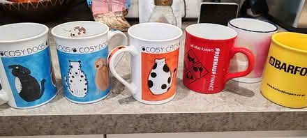 Photo of free Cups (South Scarle) #1
