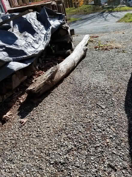 Photo of free Wood (Huntington MA) #2
