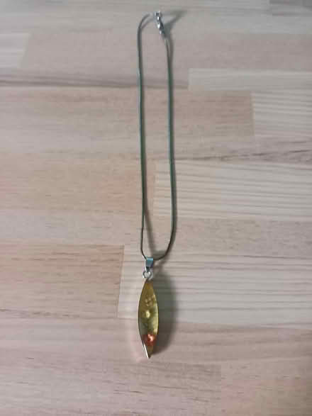Photo of free Necklace (Fareham PO14) #1