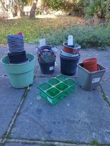 Photo of free Plastic flower pots (Teddington TW11) #1