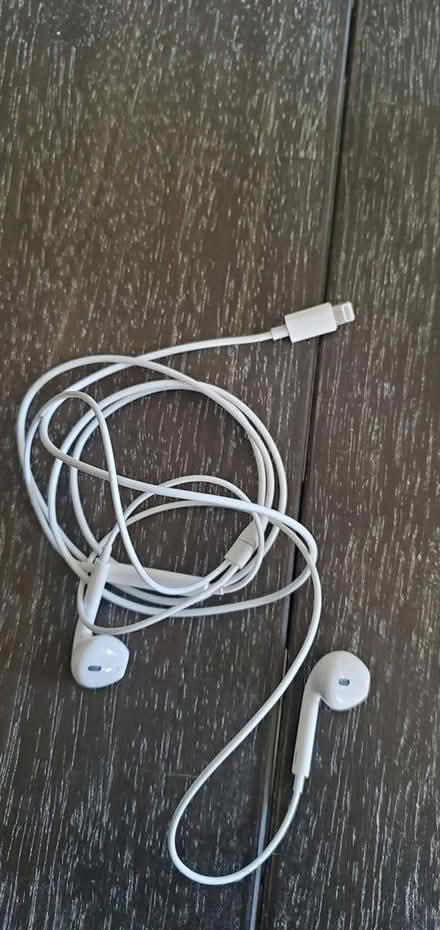 Photo of free iPhone ear buds (Springfield - Scenic Hills) #1