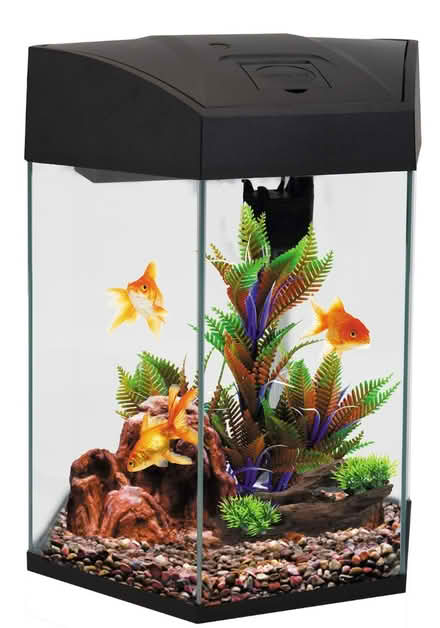 Photo of Fish tank (The Highlands TN39) #3