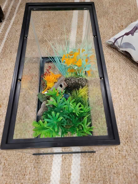 Photo of free Aquarium 2 gallon (Montreal road and St Laurent) #1