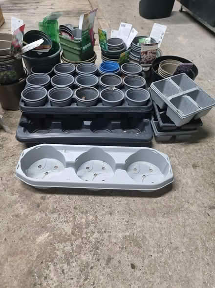Photo of free Various plant pots (SK8) #2