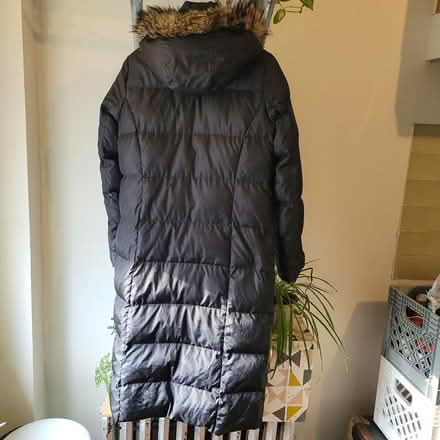 Photo of free Winter hooded coat - down (Sunset Park, Brooklyn) #2