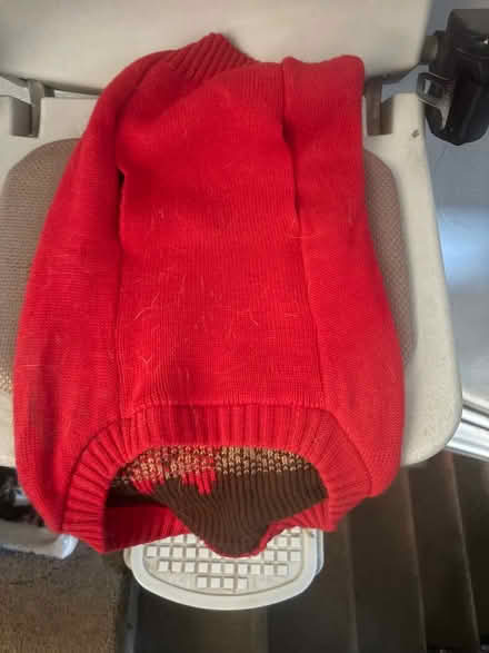 Photo of free Dog jumper (Rubery B45) #2