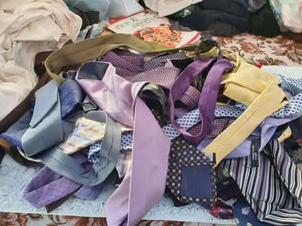 Photo of free Neckties - For artist? (Booker HP12) #1