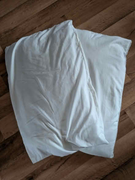 Photo of free Pillows (Hurstpierpoint BN6) #1