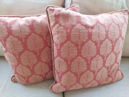 Photo of free Sofa Cushions (Wandsworth Common SW17) #1