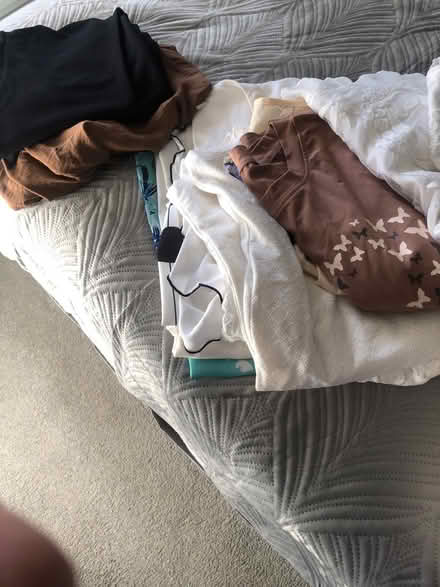 Photo of free Bag of ladies tops (TN38 9JN St Leonards on sea) #1
