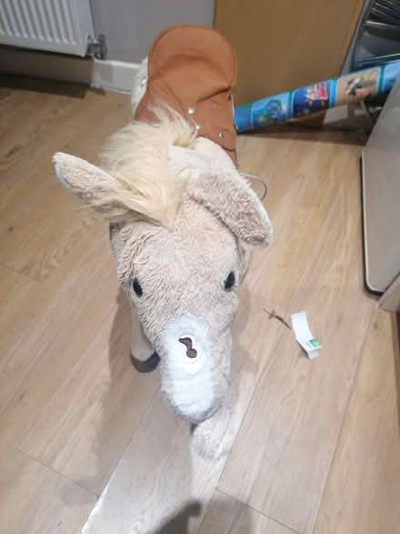 Photo of free Horse (Parkstone BH14) #2
