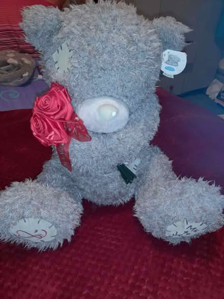 Photo of free 'Me to you' bear (Stisted CM77) #1