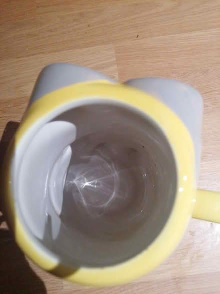 Photo of free Mug (Parkstone BH14) #3