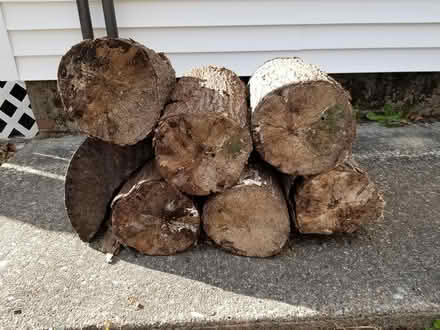Photo of free Wood (Huntington MA) #1