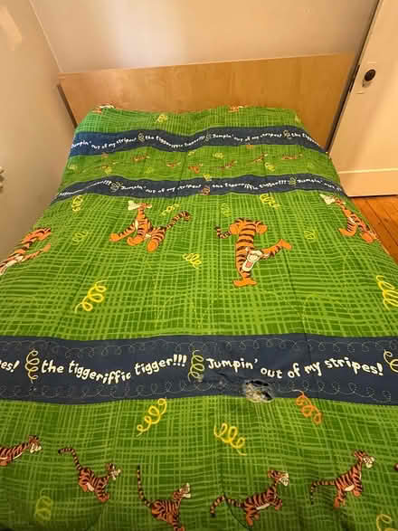 Photo of free Reversible kid’s bedspread (Hintonburg) #1