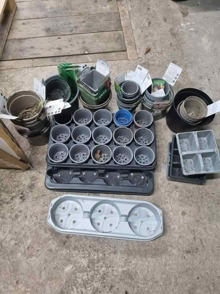 Photo of free Various plant pots (SK8) #1