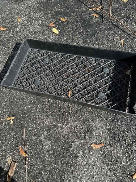 Photo of free seed starters and tray (Arlington Center) #1