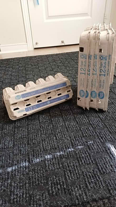 Photo of free Empty egg cartons (Thomas/Winston Churchill) #1
