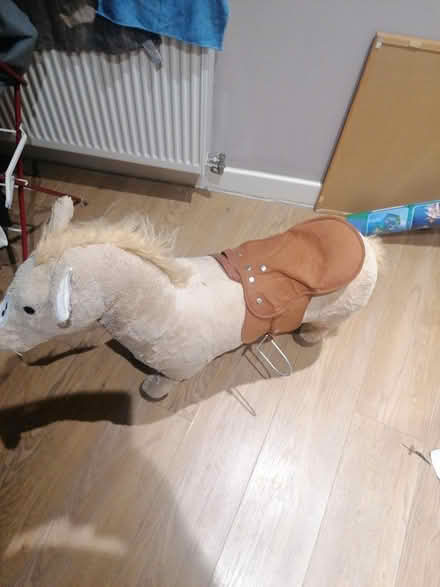 Photo of free Horse (Parkstone BH14) #1