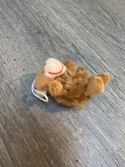 Photo of free Mini Plush Key Chain. Good condition (Southsea PO4) #3