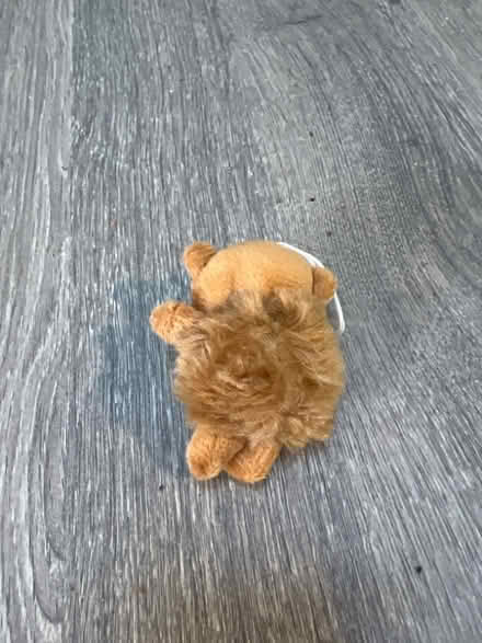 Photo of free Mini Plush Key Chain. Good condition (Southsea PO4) #2