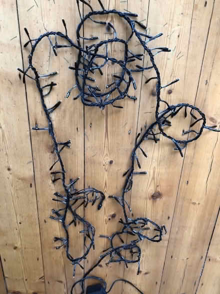 Photo of free Christmas lights (Putney SW15) #1
