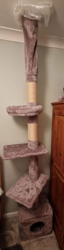 Photo of free Cat tower (North Tonbridge TN10) #1