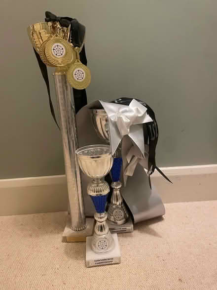 Photo of free Trophies,Medals,Sashes. (Harrogate HG2) #1