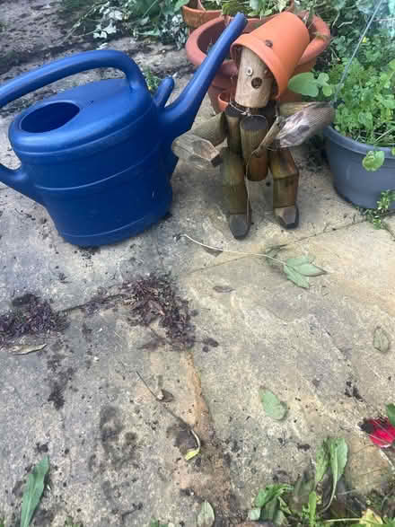Photo of free Watering can and plant pots (Biggin hill) #2