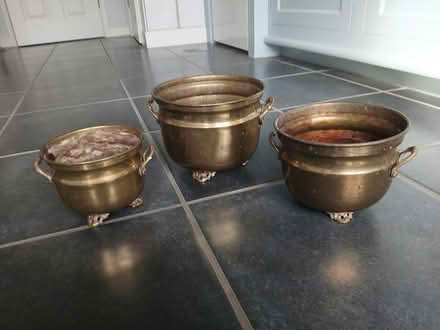 Photo of free Ceramic Planters (S17 (Dore)) #2
