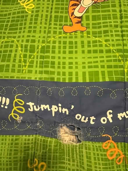 Photo of free Reversible kid’s bedspread (Hintonburg) #2